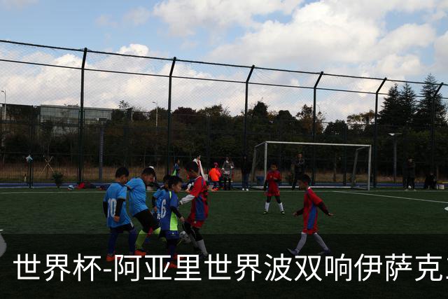 世界杯-阿亚里世界波双响伊萨克1射2传 瑞典5-1突尼斯
